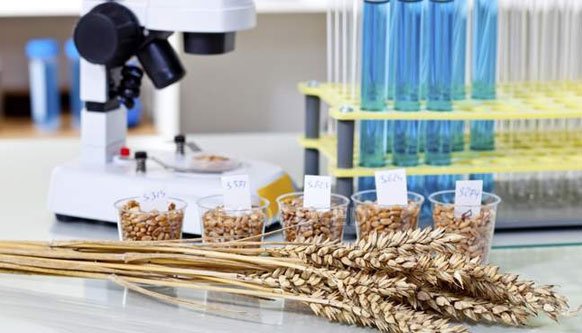 Dried Distiller Grain Soluble(DDGS) testing